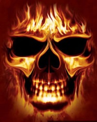 Skull 1